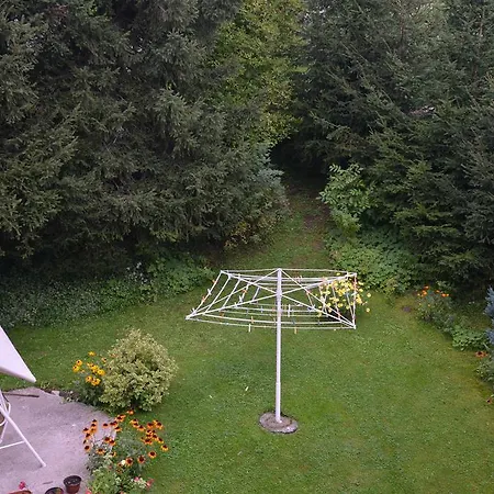 Dobrila 즐라티보