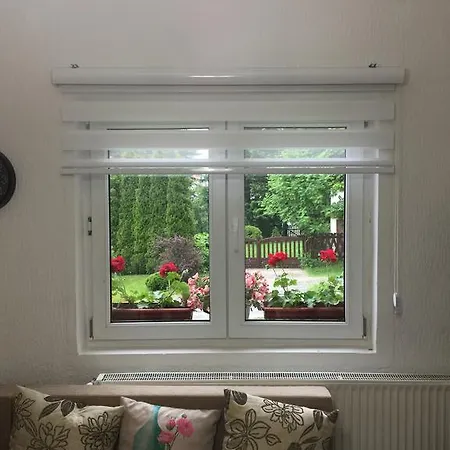 Dobrila 즐라티보