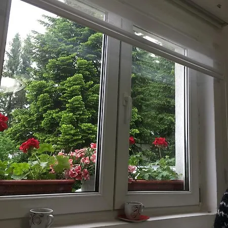 Dobrila Daire Zlatibor