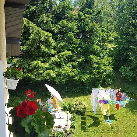 Daire Dobrila Zlatibor